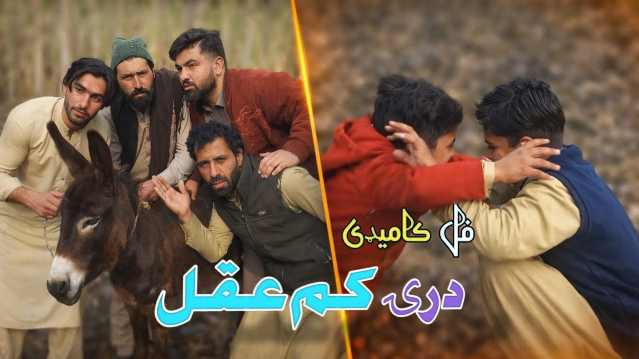 2026 pashto funny video //dre kamaqal//#(درے کم عقل)#by kpk boys