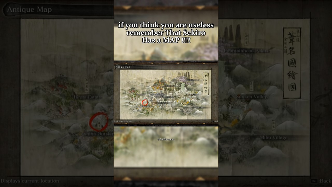 Did you know that ? 😂 #sekiro