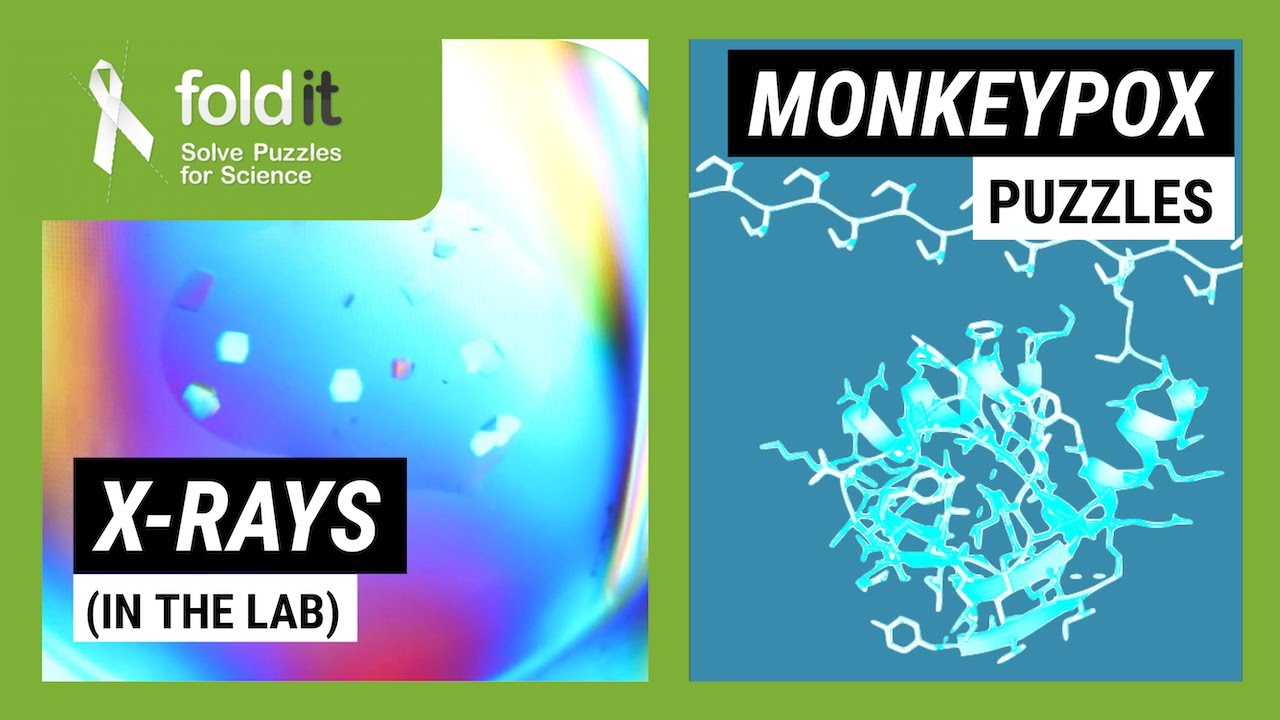 From DNA to Protein (Part 3) PLUS Monkeypox Puzzles – Lab Report 36