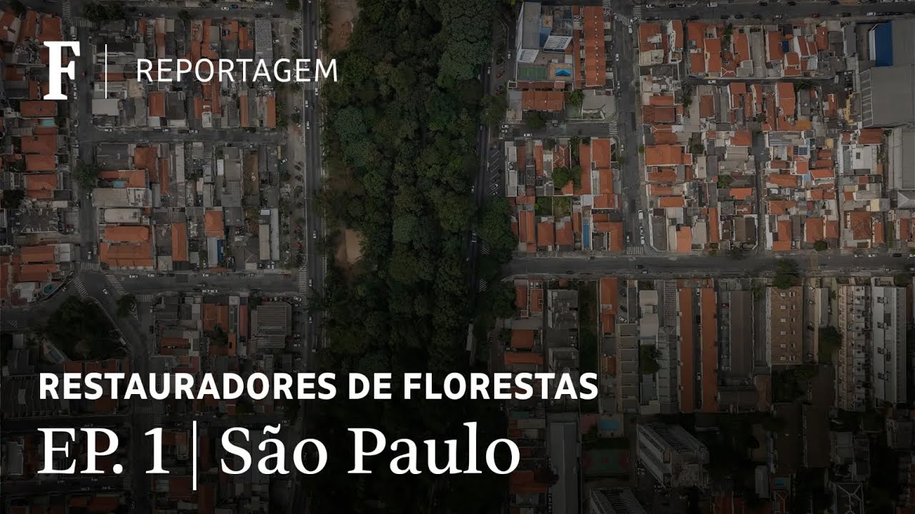 Restauradores de florestas recriam mata atlântica dentro da cidade de São Paulo