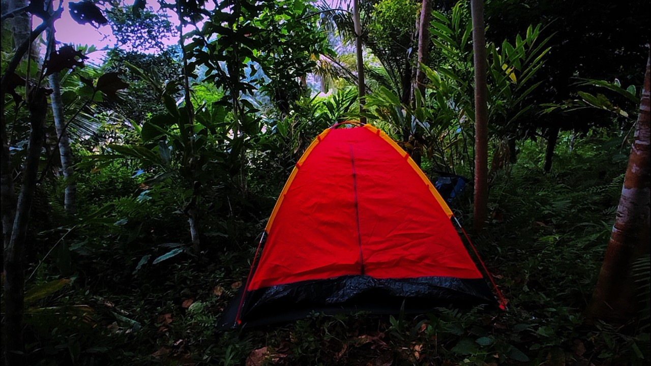 Solo Camping: Build a Tent and Spend the Night in the Silent Forest