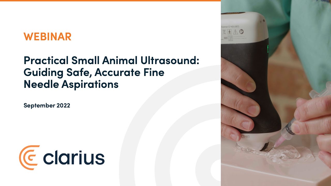 Practical Small Animal Ultrasound: Guiding Safe, Accurate Fine Needle Aspirations