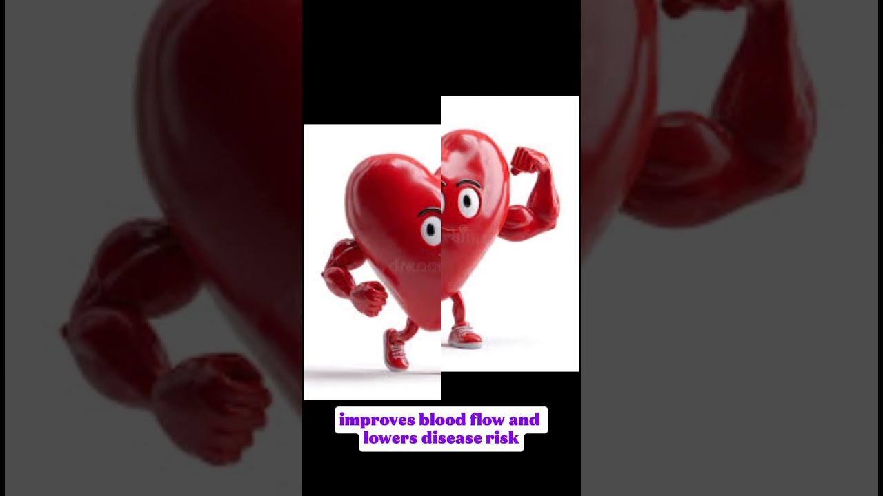 The Benefits of Exercise on Your body