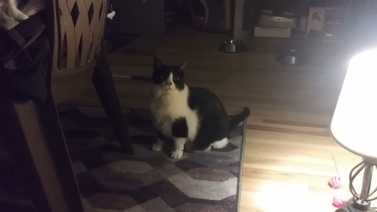Just watching her