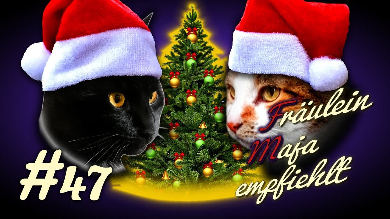 KATZENSICHERER WEIHNACHTSBAUM - so wird der Weihnachtsbaum katzensicher. Maja empfiehlt Teil 47
