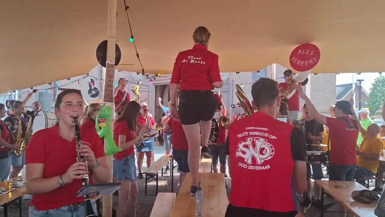 29 juni 2025 Dweilorkestenfestival loil 02 sweet caroline