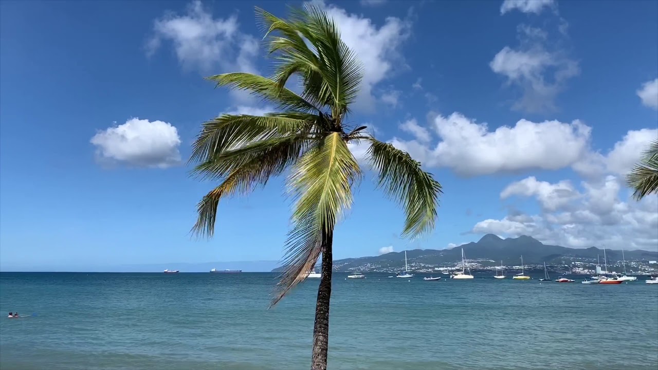 ANSE A L'ANE Martinique  LES TROIS-ILETS, Caribbean Islands, Martynika, Karaiby, Karibik