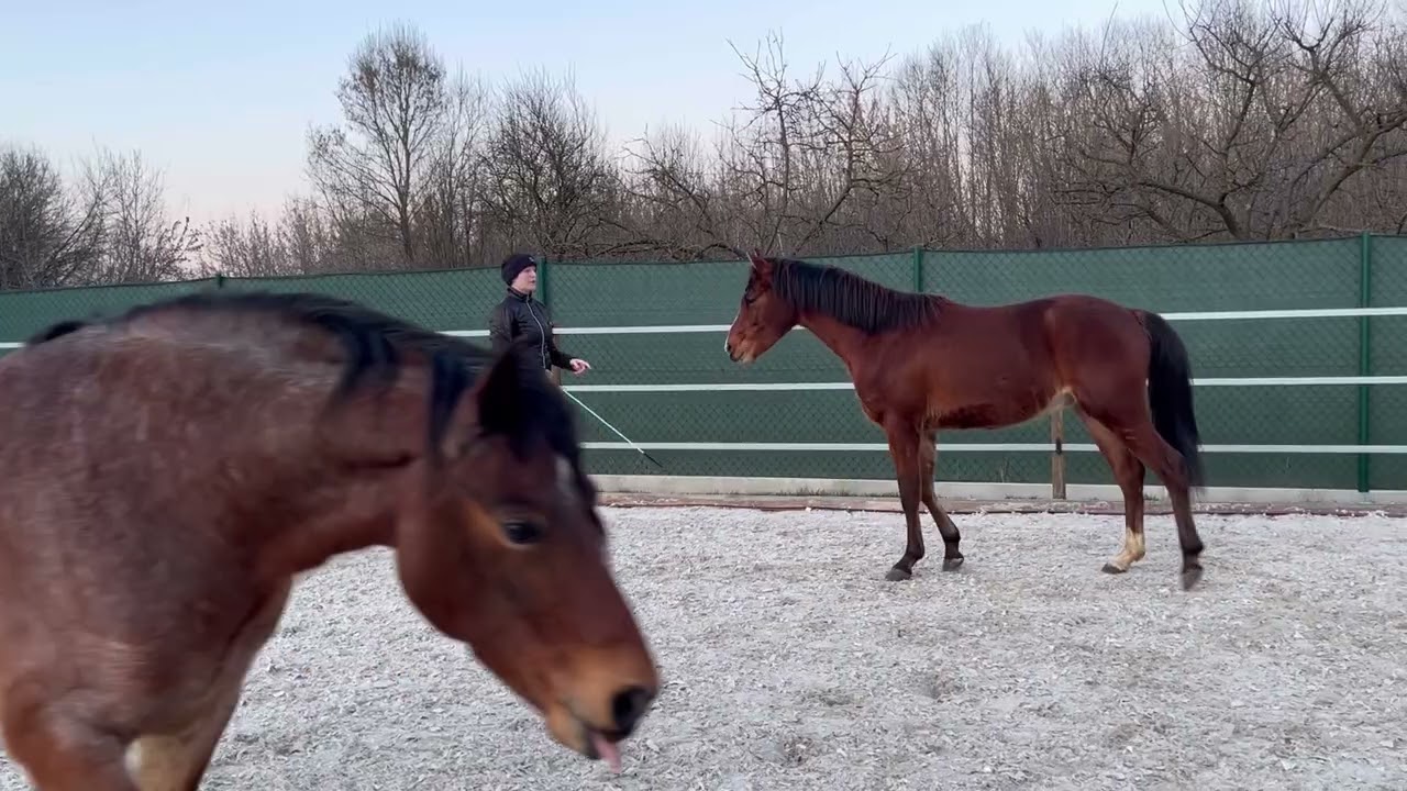 Domiko Maurice (2) & Domiko Messi (5) ❤️❤️🥰
