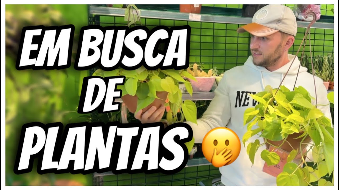 PRIMEIRO PASSO para DEIXAR nossa SALA cheia de VIDA | Henrique Buttler