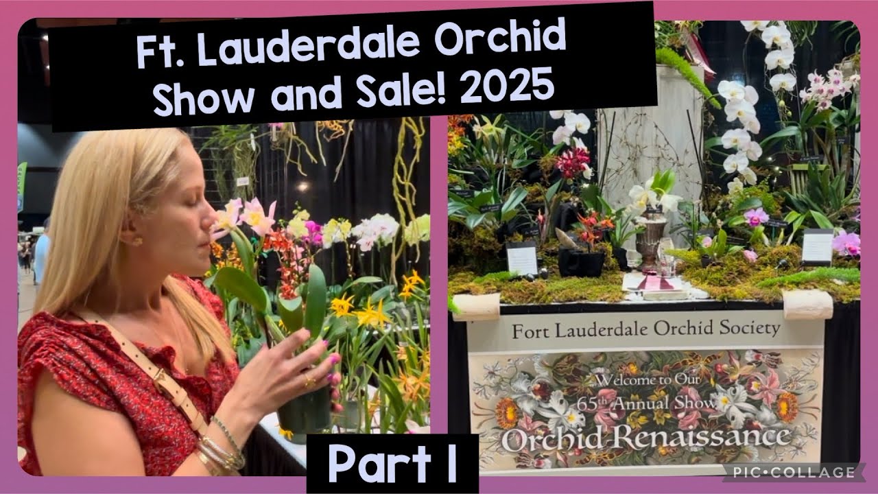 Ft. Lauderdale Orchid Show 2025!!