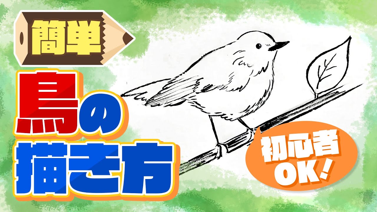 【3分でわかる】誰でも簡単に鳥をうまく描く方法【絵本作家直伝】