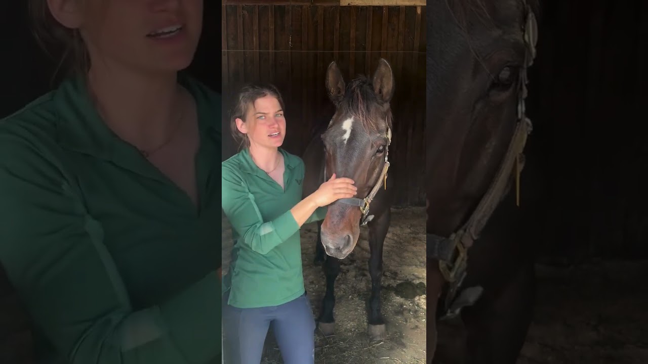 Вы знаете Ханну?