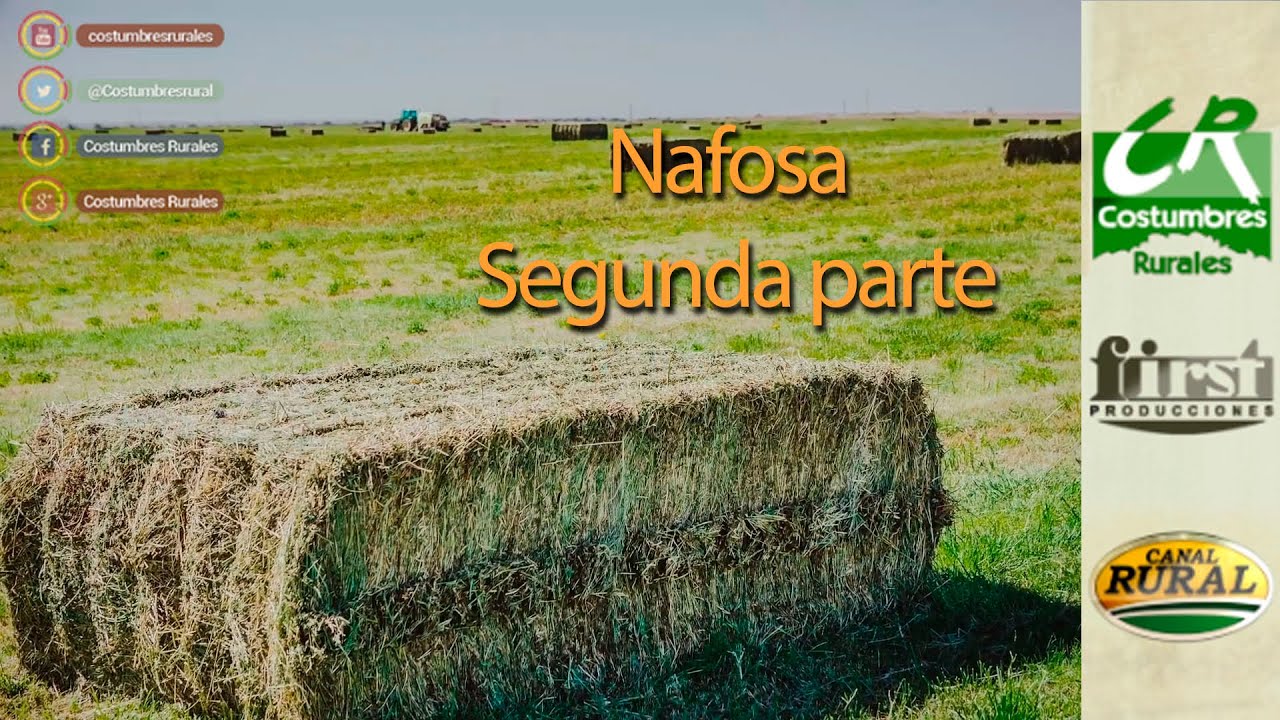 Deshidratación de Alfalfa en Argentina y España / Alfalfa y Forraje de la Patagonia / CR731