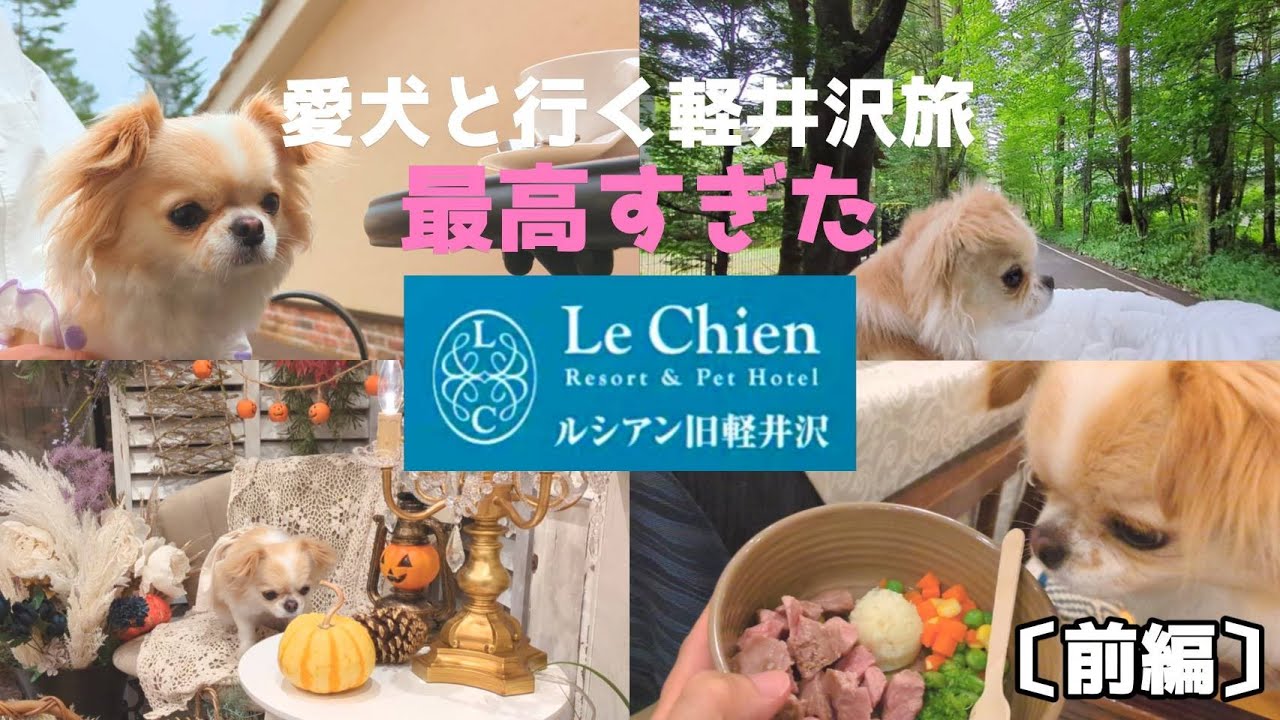 【犬と軽井沢旅行 前編】食事も自然も満喫できる最高のホテル見つけちゃいました　ルシアン旧軽井沢