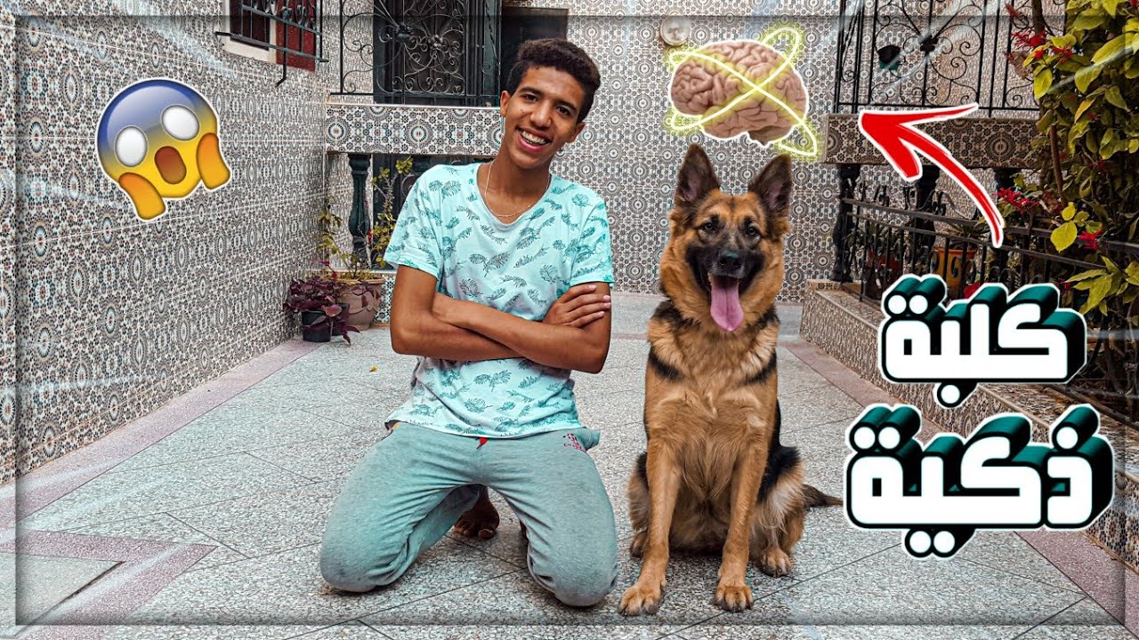 تحديات لإختبار ذكاء كلبتي🐶!!! أذكى كلبة في العالم😂😂