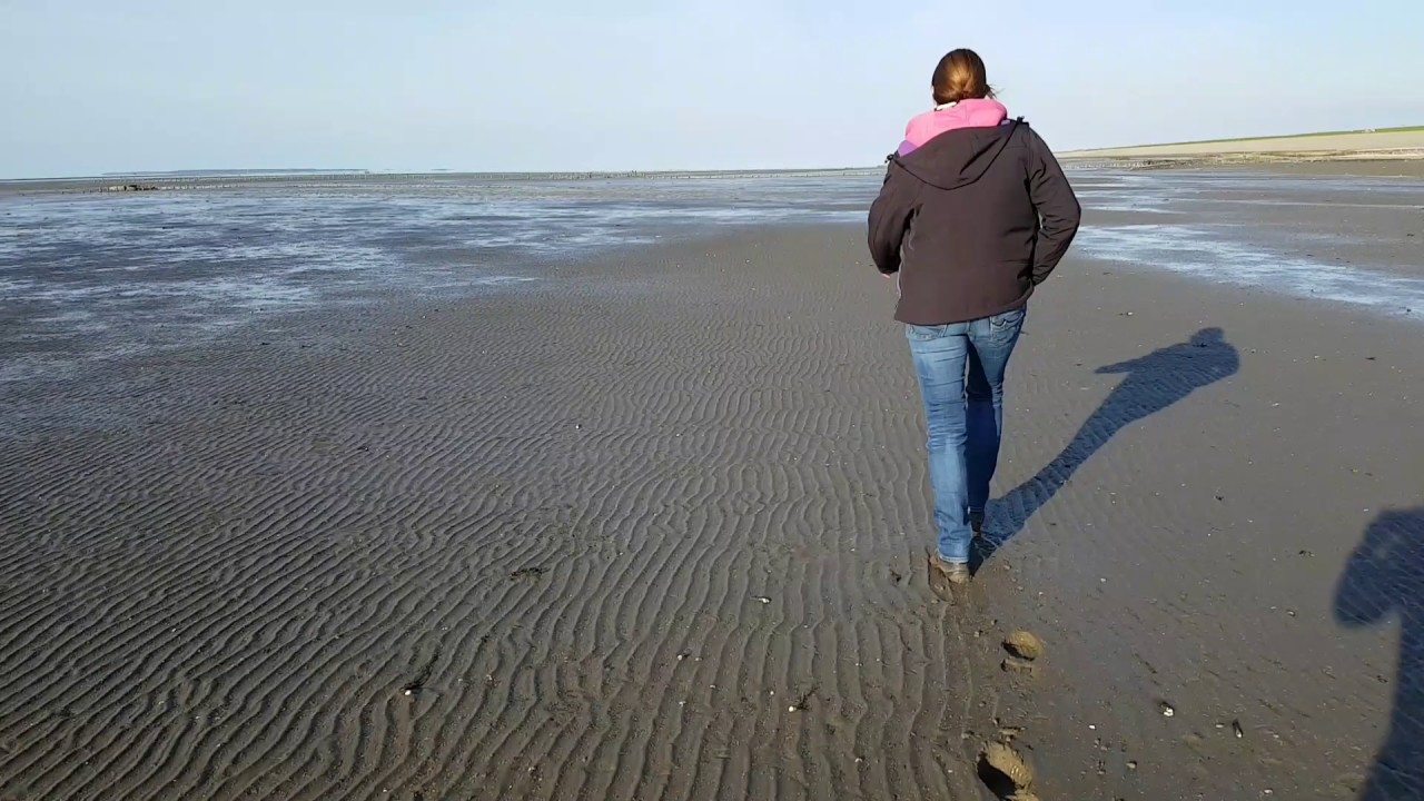 Oud scheepswrak bij wierum in de waddenzee