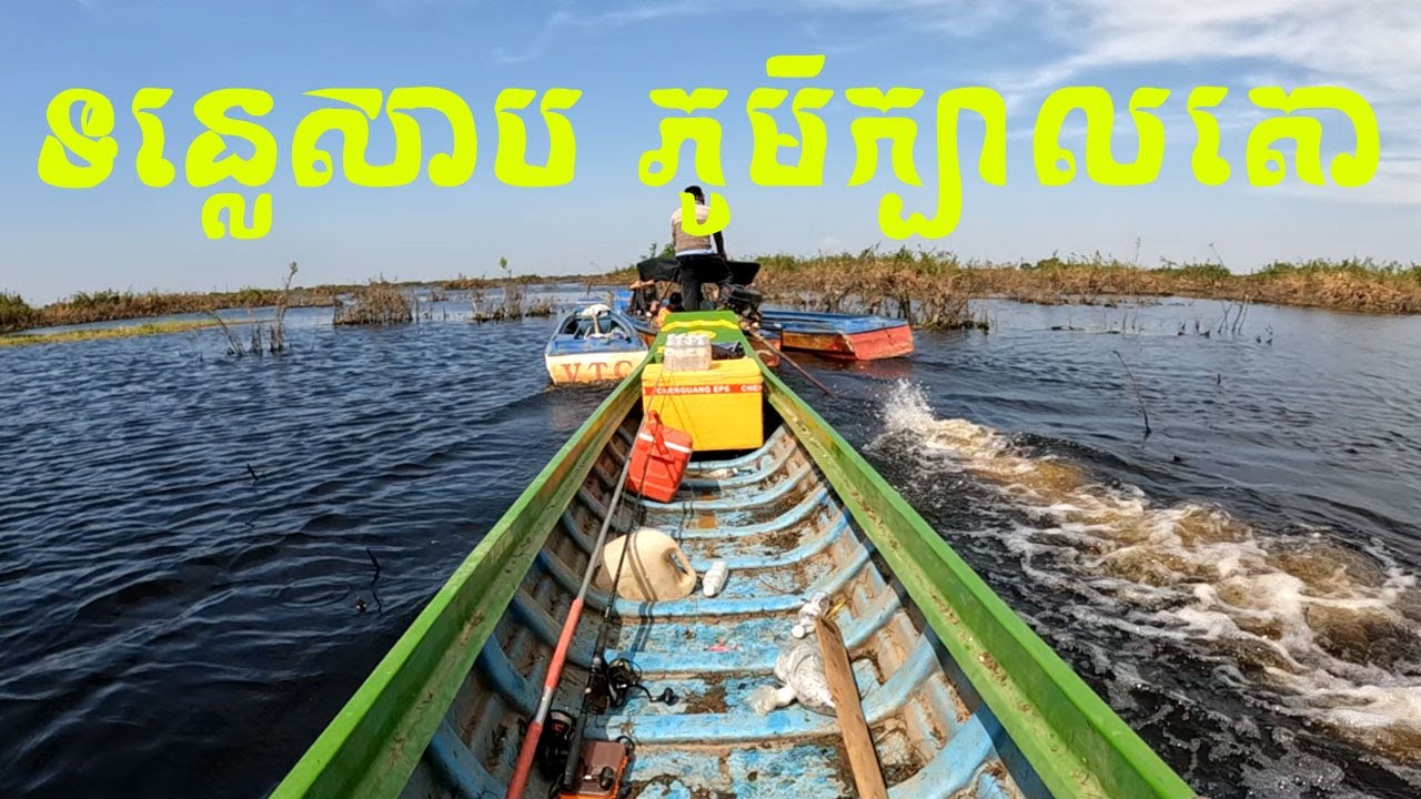 ក្បាលតោជើងទី២ Full Videos #adventures #fishing #បបក់ត្រីធម្មជាតិ #ទន្លេ