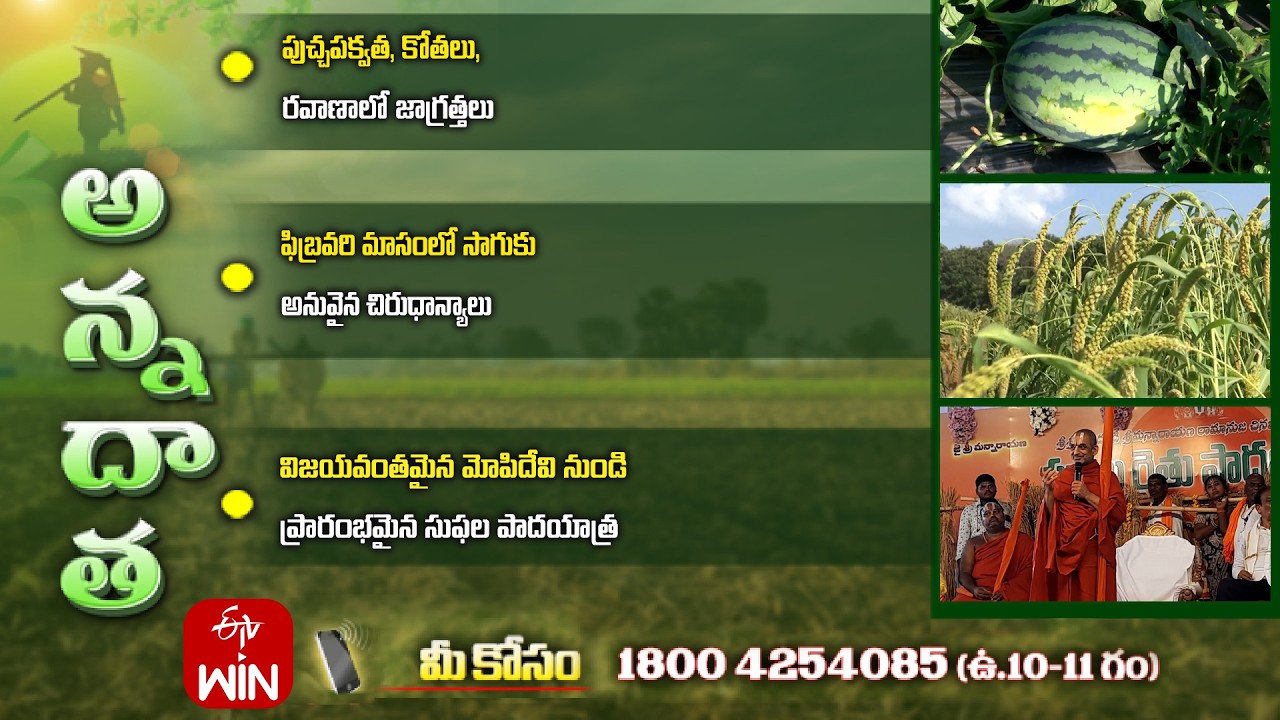 13th February 2026 | Annadata | అన్నదాత | Full Episode | ETV Telugu