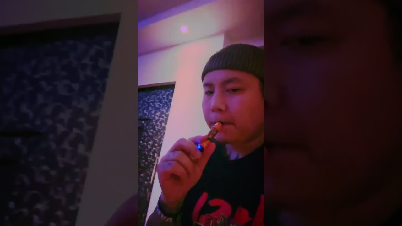 Gif bar lux 600 puffs vape approved by TPD