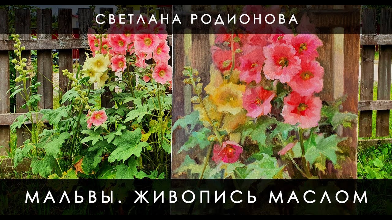 Мальвы. Живопись маслом. Как научиться рисовать.