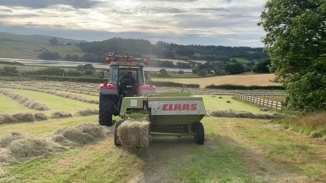 CLAAS Markant 55 baling in Glan Conwy