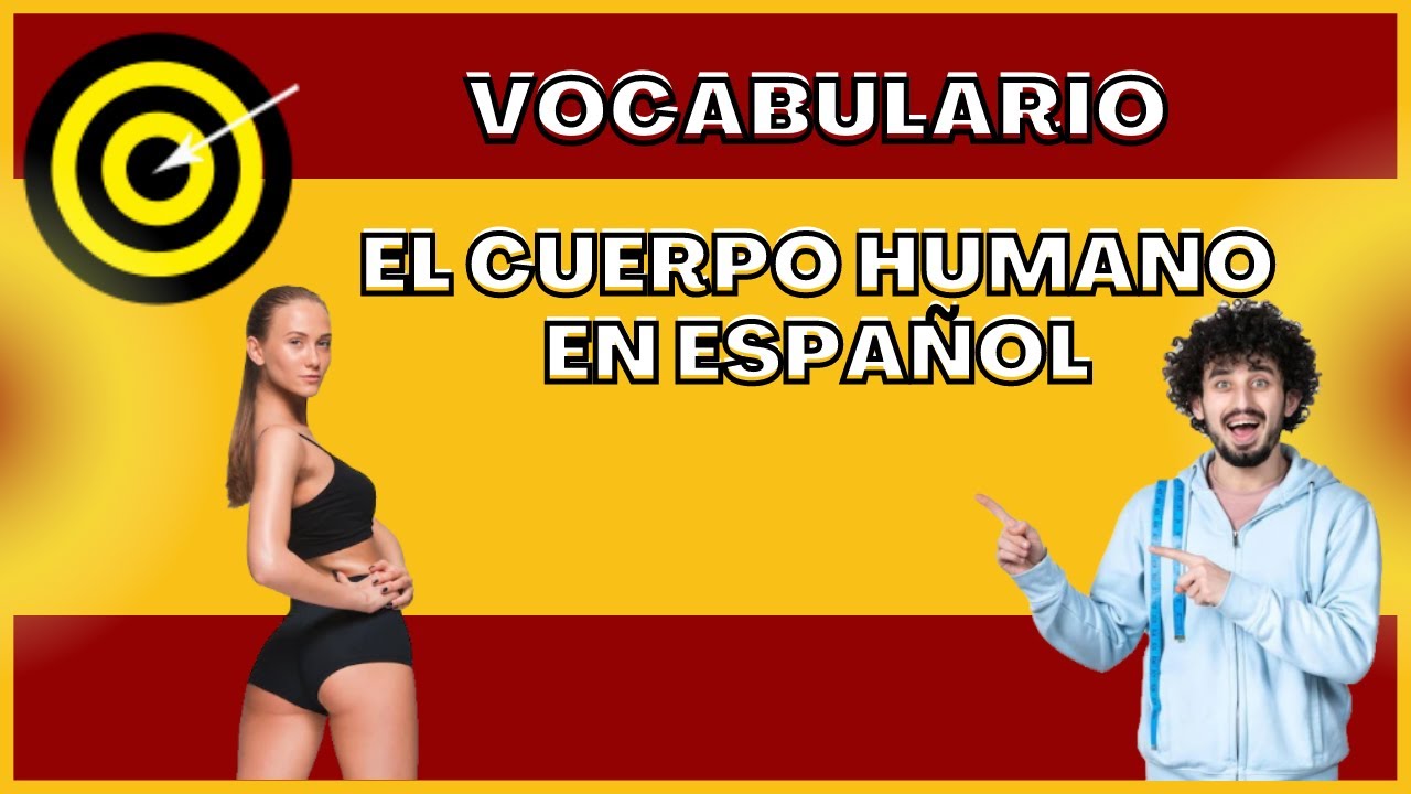 El cuerpo humano - Vocabulario - En Español