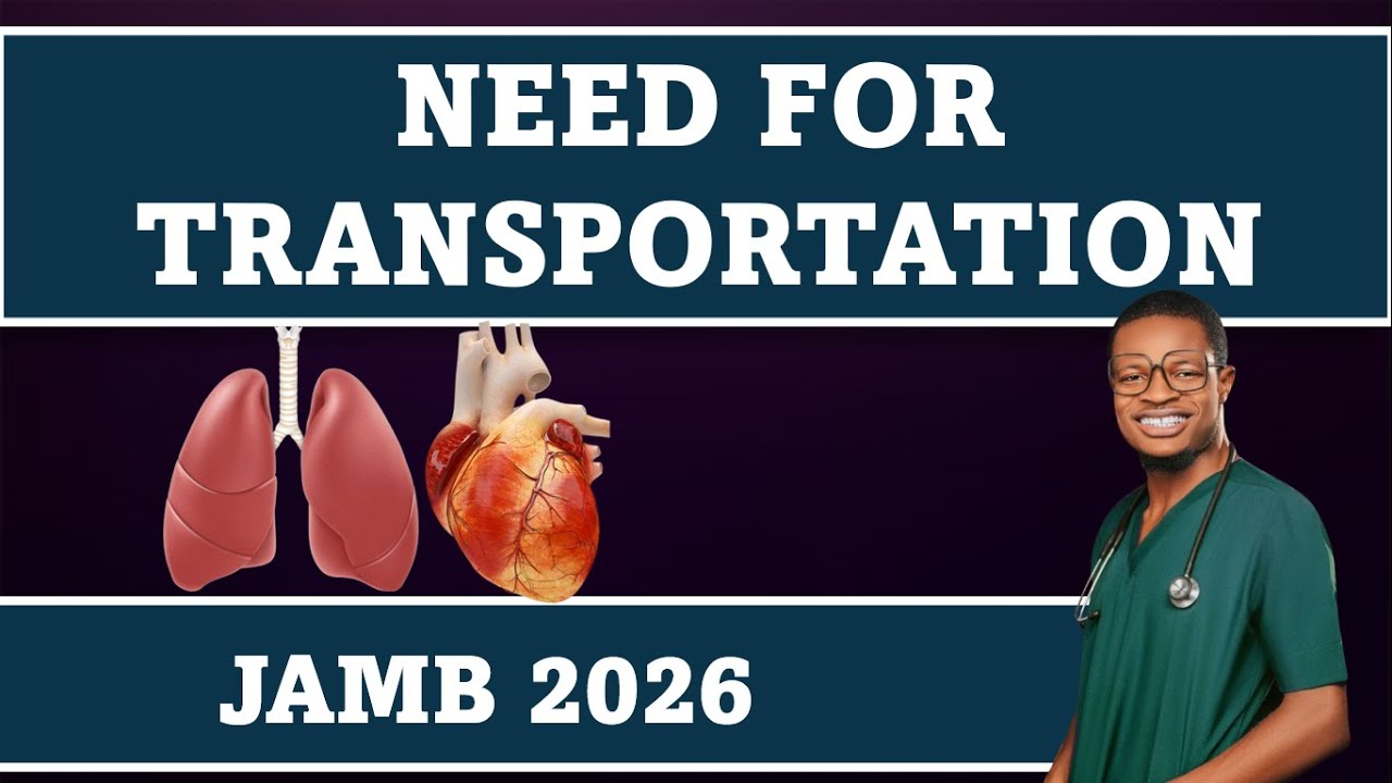 Need For Transportation