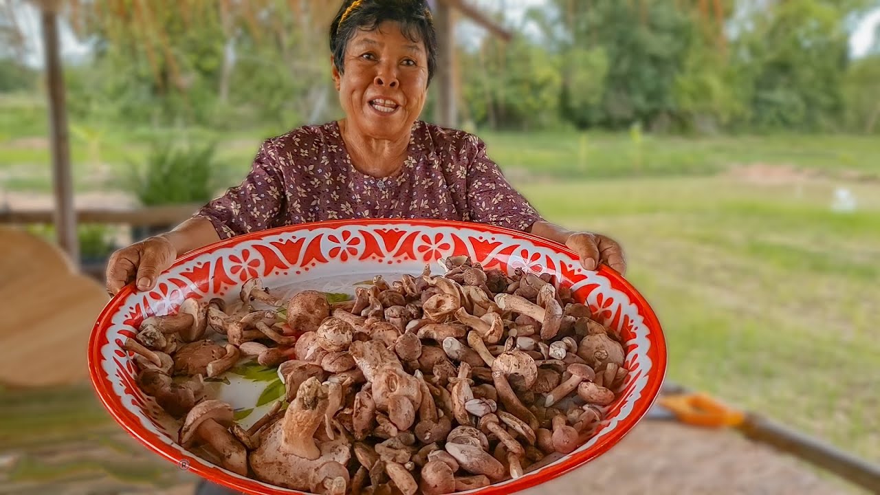 เก็บเห็ดขมที่ปลายนาเอามาแกง เห็ดเกิดเยอะมาก | อร่อยนัวร์