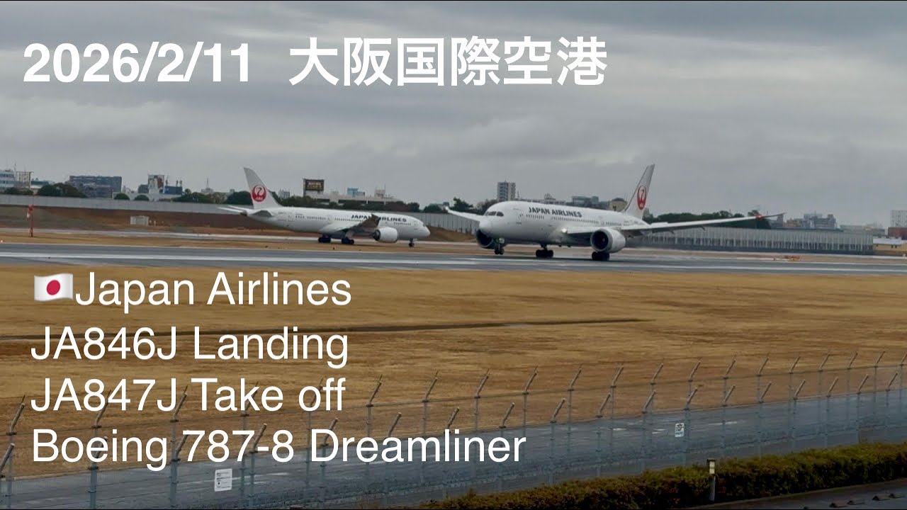 2026/2/11大阪国際空港 JAL Landing & Take off #伊丹空港 #大阪国際空港 #伊丹スカイパーク #飛行機 #airplane #jal 