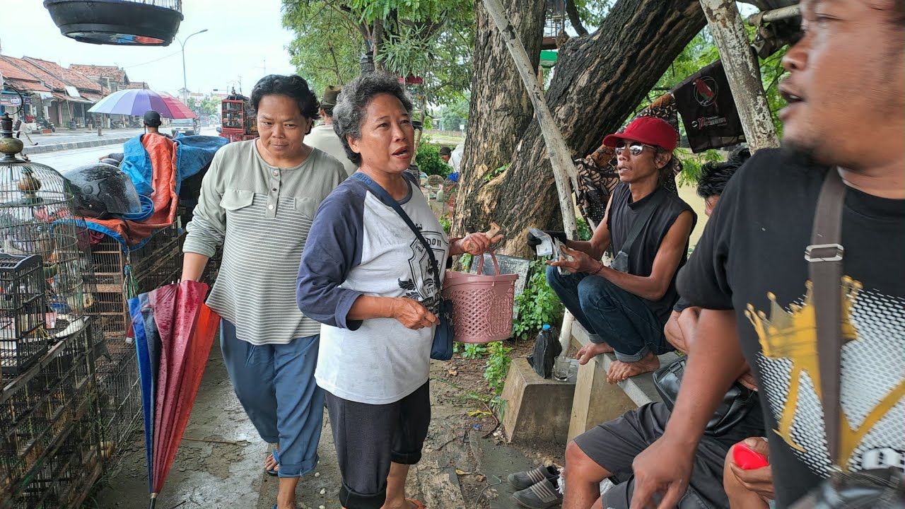 Pasar burung kertasemaya buka meskipun diguyur hujan