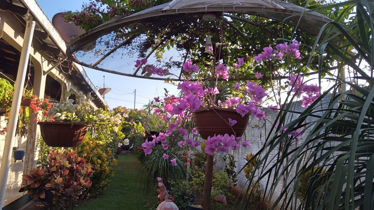 PLANTAS TÃO LINDINHAS.