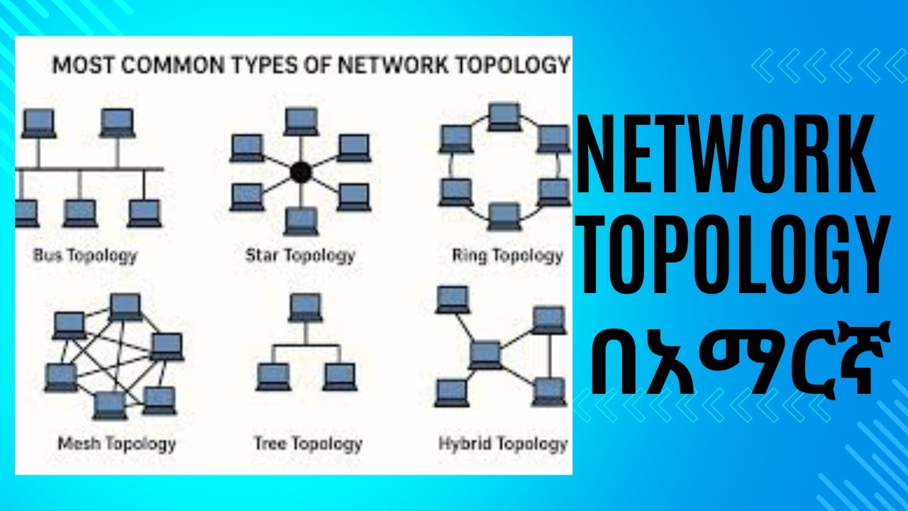 Network Topologies Explained | Bus, Star, Ring, Mesh, Tree & Hybrid | Networking Basics in Amharic