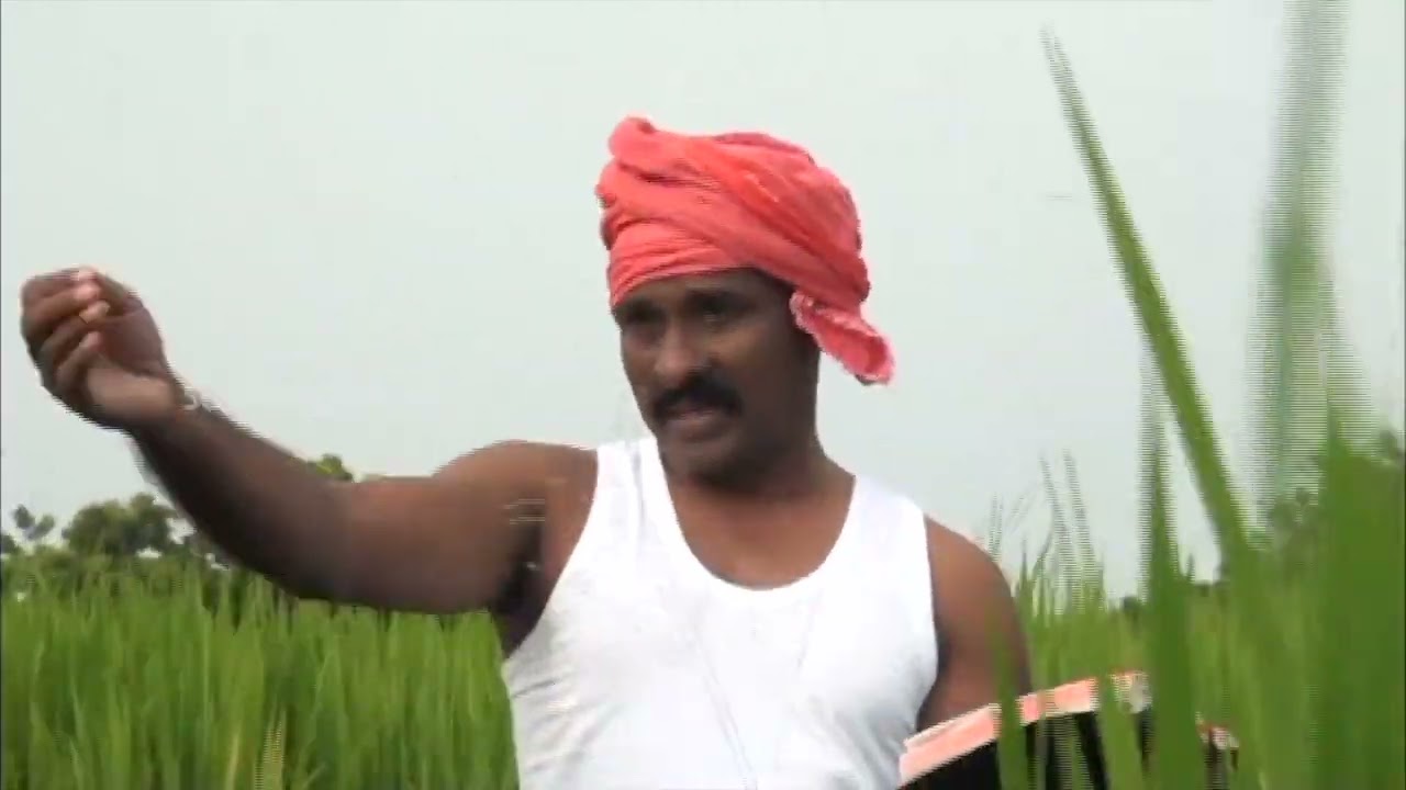 Naathu Nada Porapulla