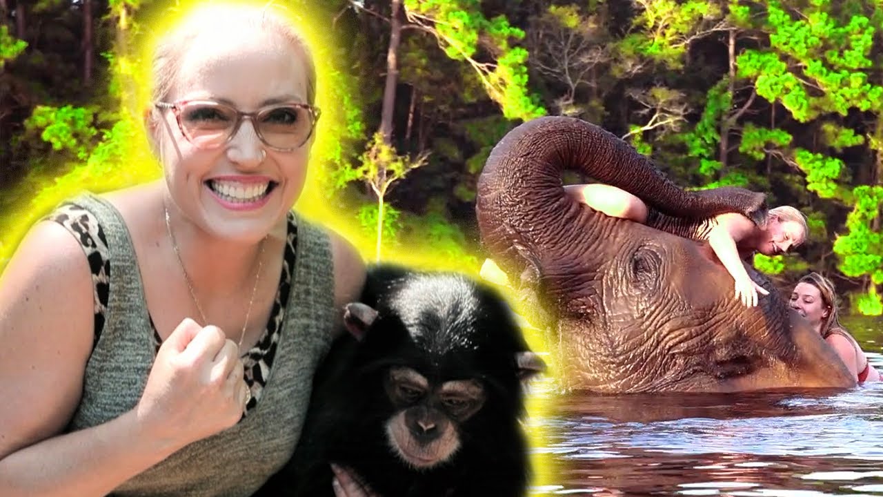 SURPRISING MY FRIENDS WITH AN ELEPHANT