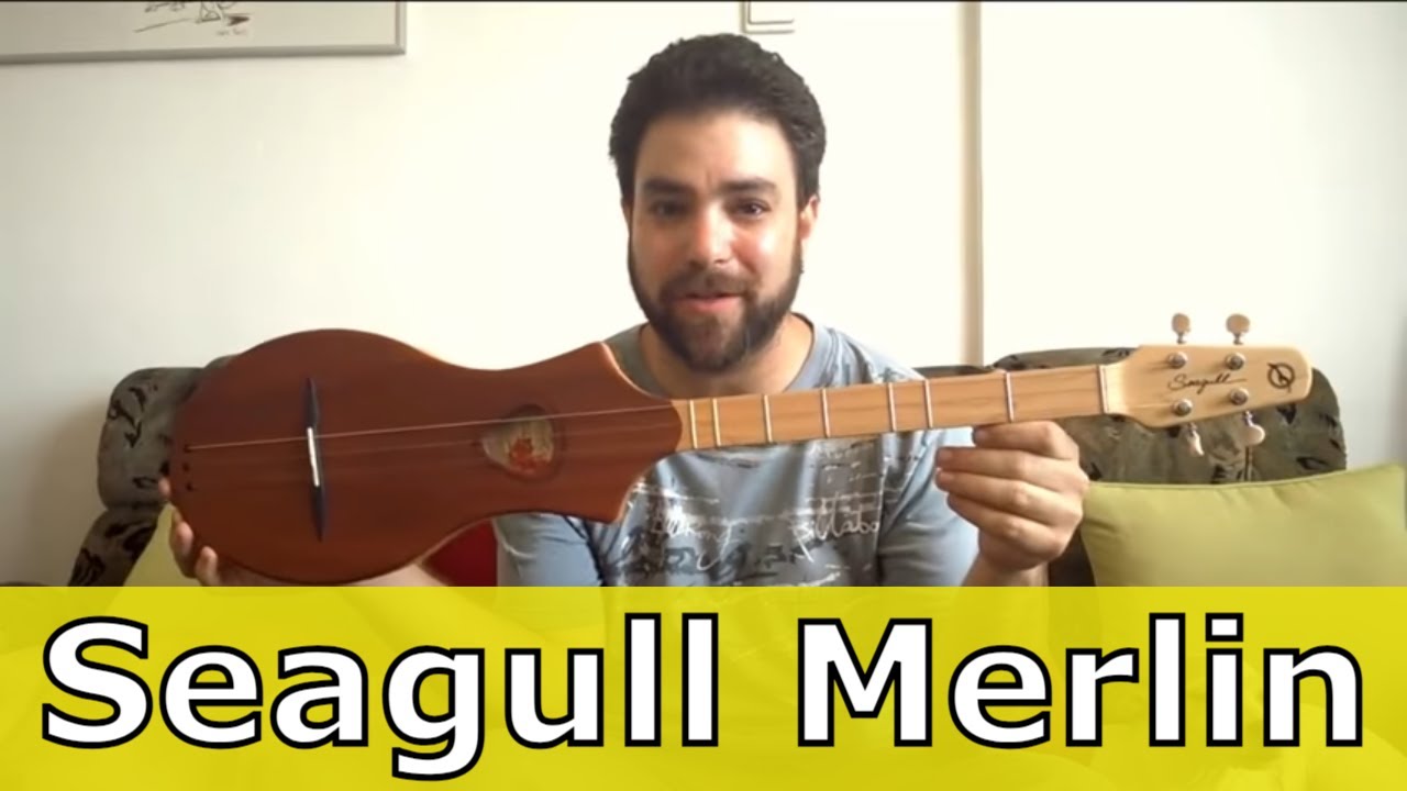 Seagull Merlin Guitar Test Drive (Improv + Explanation)