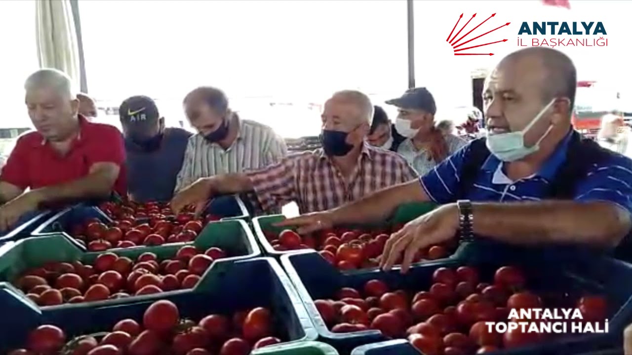 Antalya Sebze-Meyve Toptancı Hal Ziyareti