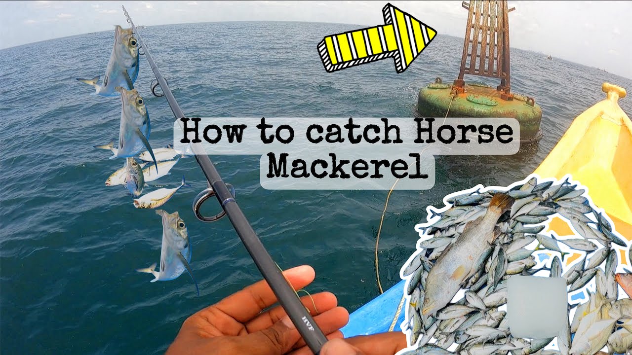 Unbelievable Hand-Made Sabiki Catches Tons of Horse Mackerel🐟 Must-See Fishing Hack!
