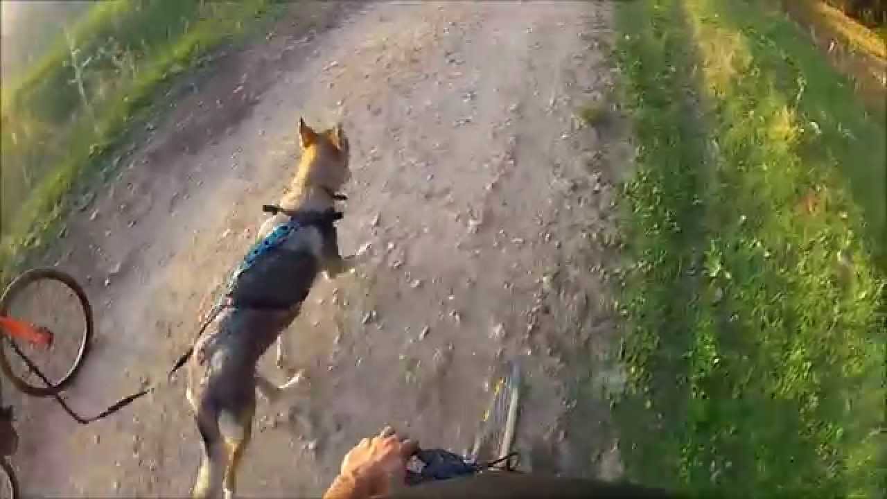 INICIANDO A DRACO EN BIKEJORING