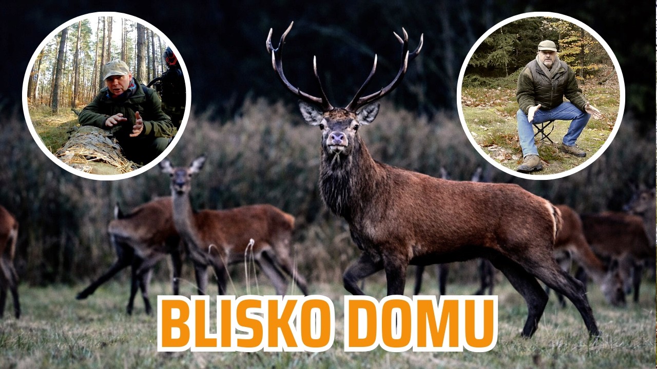 Rykowisko pod miastem? Jak znaleźć jelenie bez samochodu? | Vlog (Cz. 1)
