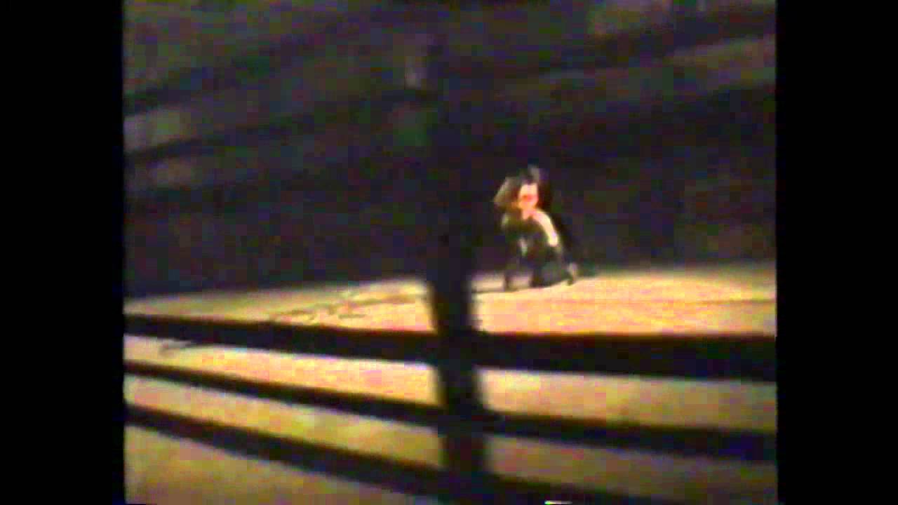 Wim Vandekeybus - Roseland - 1990