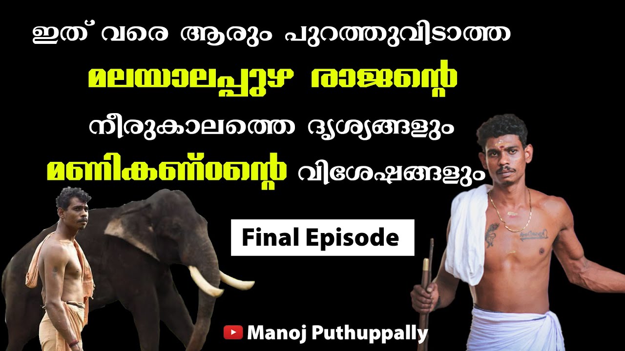 ഇതുവരെ ആരും പുറത്തുവിടാത്ത മലയാലപ്പുഴ രാജന്റെ നീരുകാലത്തെ ദൃശ്യങ്ങളും മണികണ്ഠന്റെ വിശേഷങ്ങളും.