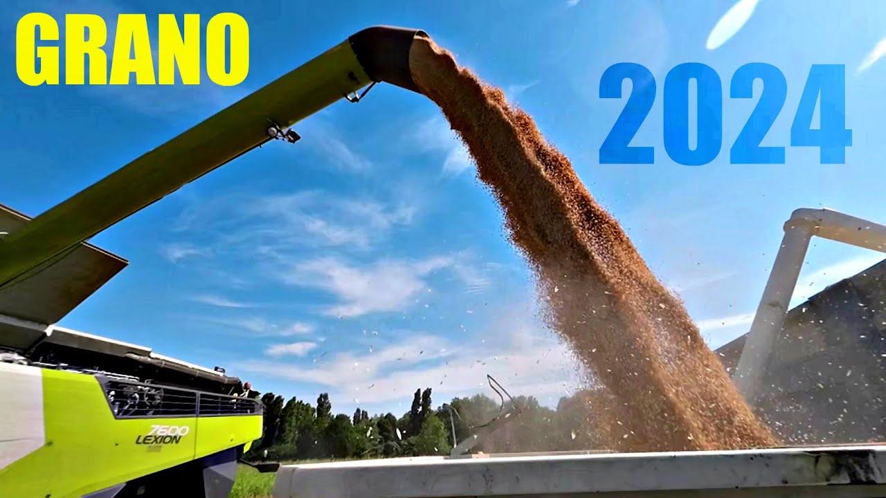 GRANO: RISULTATI E COMMENTI