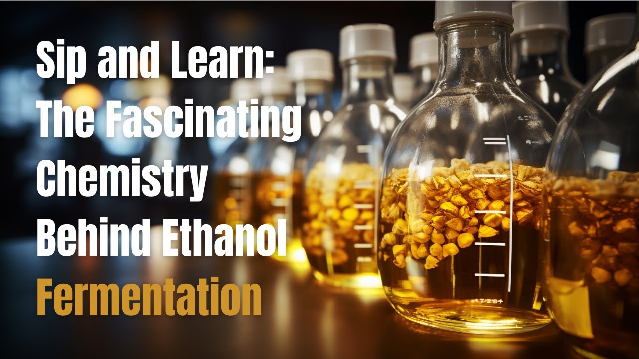 Sip and Learn: The Fascinating Chemistry Behind Ethanol Fermentation 🥂📚