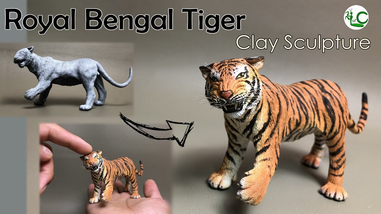 Sculpting Tiger_Royal Bengal Tiger (Panthera tigris tigris) Polymer Clay Sculpture_Life of Clay
