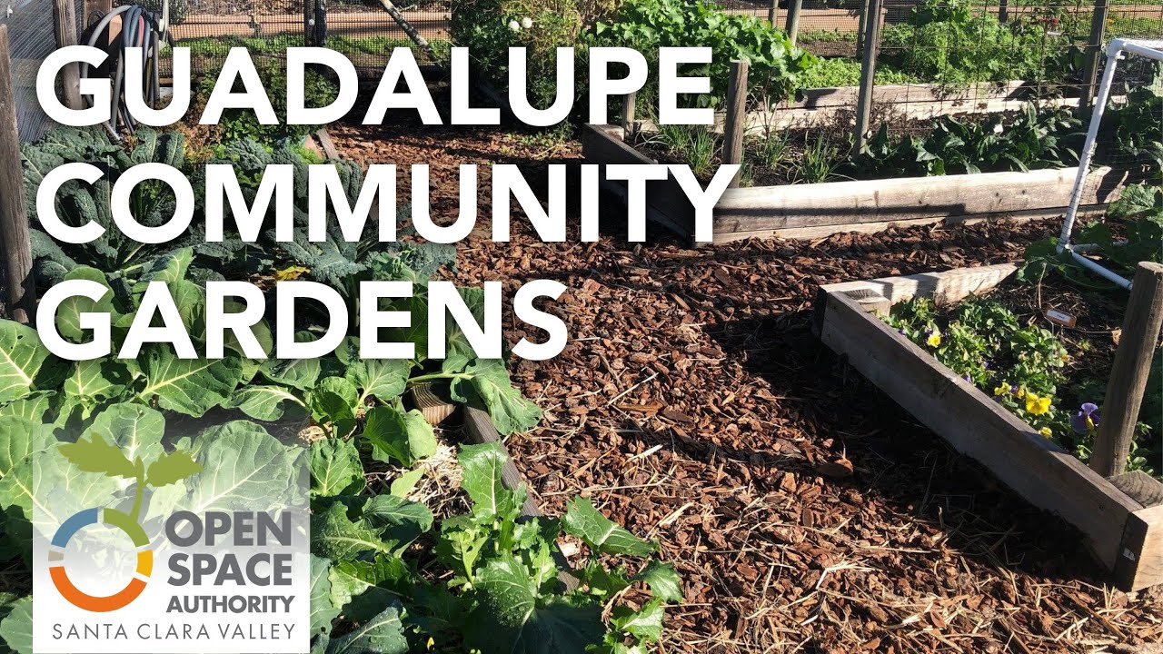 Guadalupe Community Gardens Virtual Tour