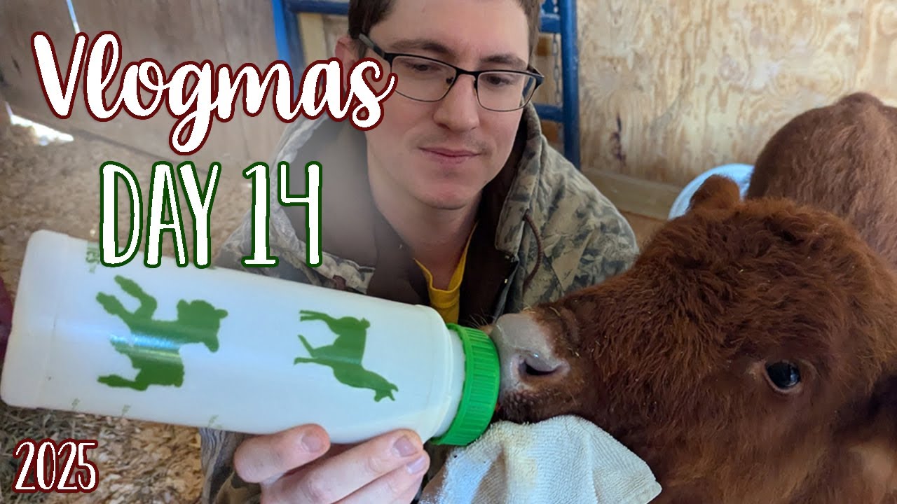 Укладываем животных спать в холодную погоду! | Vlogmas День 14 | Ohcluck