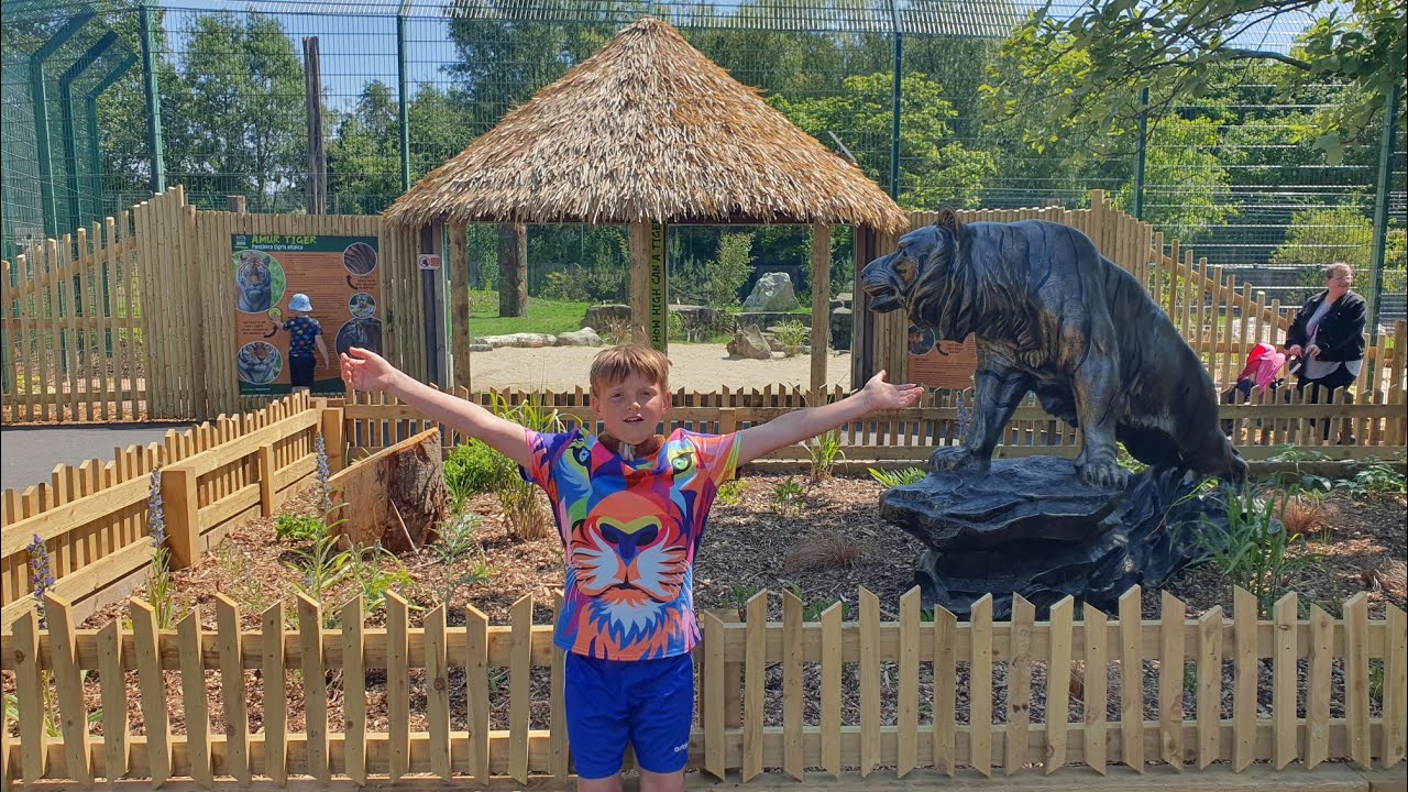 Blackpool Zoo June 2023 (Big Cats are back!!)