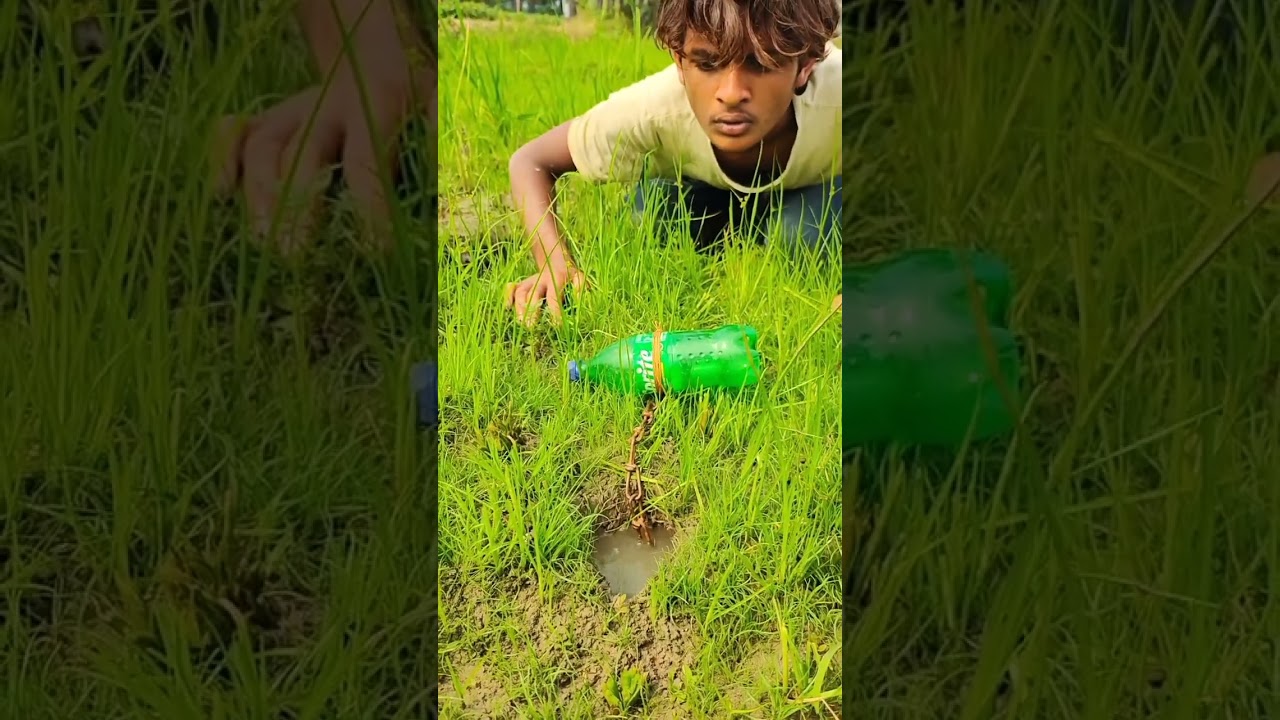 Удивительное видео ловли огромного ската-монстра #рыба #рыбалка #видео #вирусноевидео #примитив
