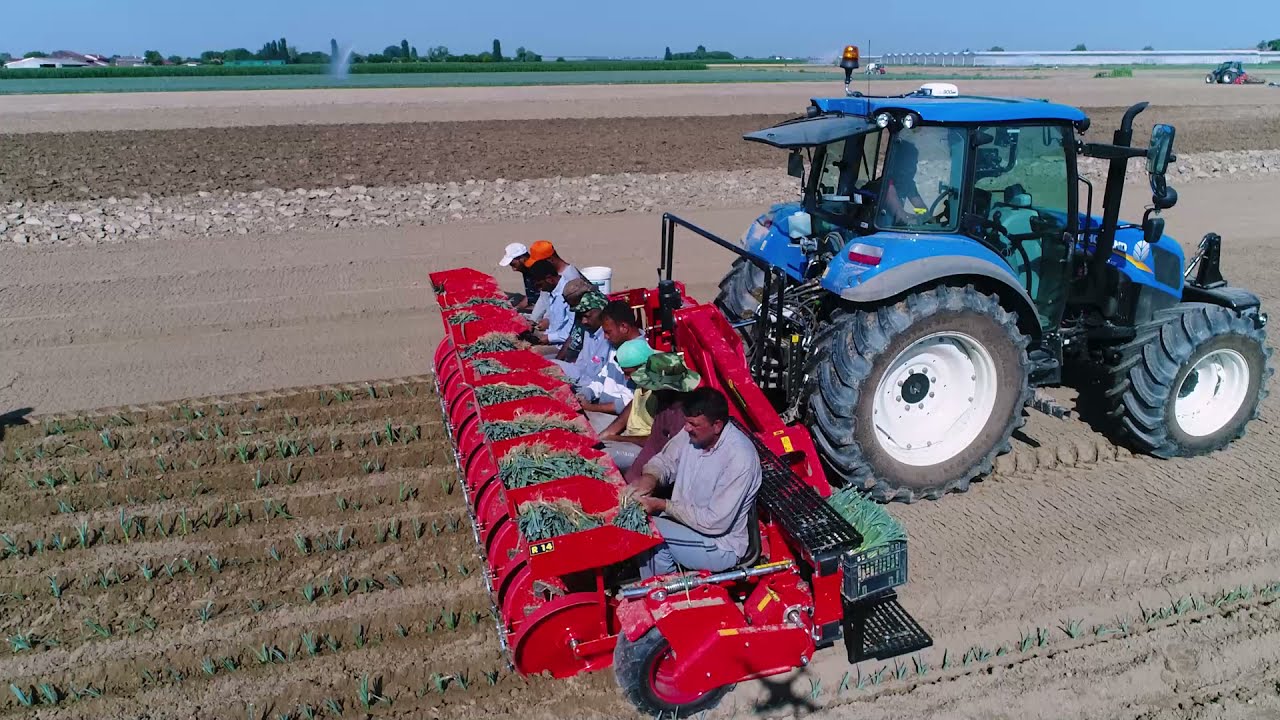 CHECCHI & MAGLI - FOXDRIVE R14-9 TPI - Leek Transplanter