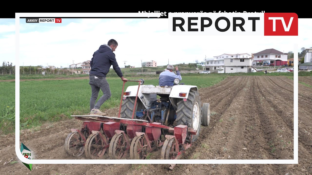 Veri Jug - Mbjelljet e pranver&euml;s n&euml; fshatin Rrotull (15.04.2024)